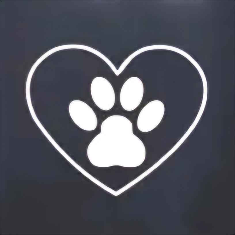 Katten urn - Honden urn - 500 ML - Hart met Pootafdrukje - RVS - Zwart - De laatste aai - Moderne urn - Crematie urn - As urn - Huisdieren urn - Urn voor kat- Urn voor hond - Grote urn