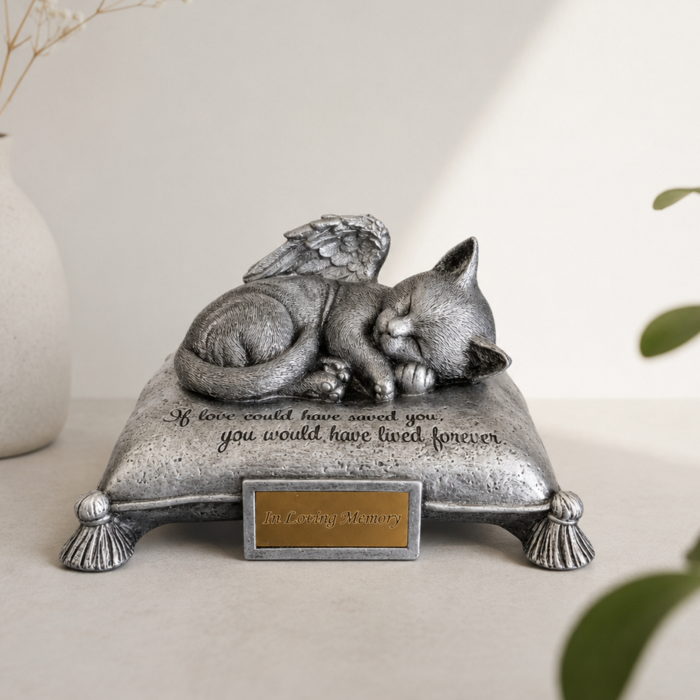 Collectie voor Kat