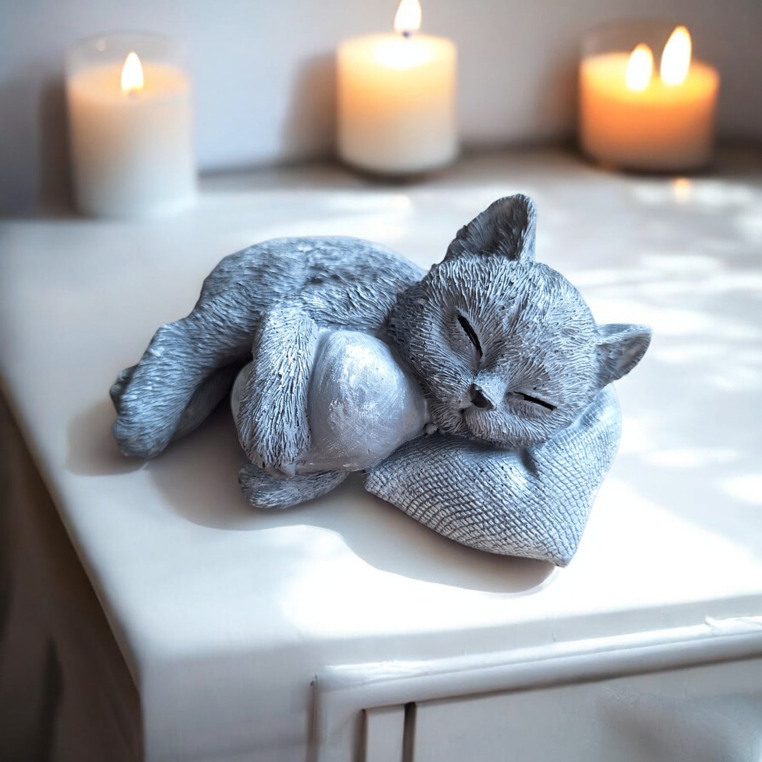 Aandenken Kat