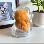 Transparant kattenpoot bewaarpotje voor as of aandenken

