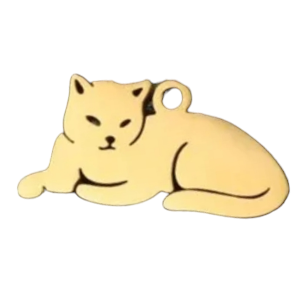 3 Stuks Kattenhaar Opbergdoos Sleutelhanger Transparant Acryl Hondenhaar Herinneringsfles Huisdierenhaar Verzamelaar Container Sleutelhanger Souvenir Cadeau voor Huisdiereigenaar – koop de beste producten in de online winkel 3 Stuks Kattenhaar Opbergdoos Sleutelhanger Transparant Acryl Hondenhaar Herinneringsfles Huisdierenhaar Verzamelaar Container Sleutelhanger Souvenir Cadeau voor Huisdiereigenaar – koop de beste producten in de online winkel