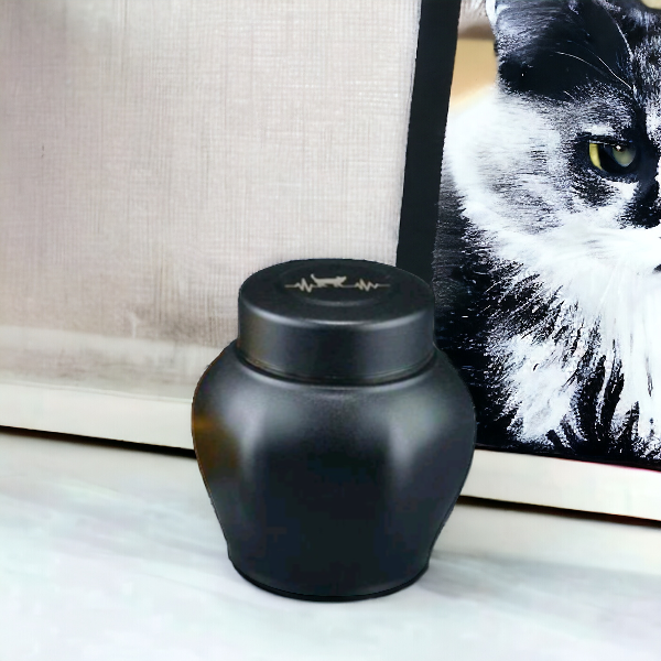  grote urn voor jouw kat 