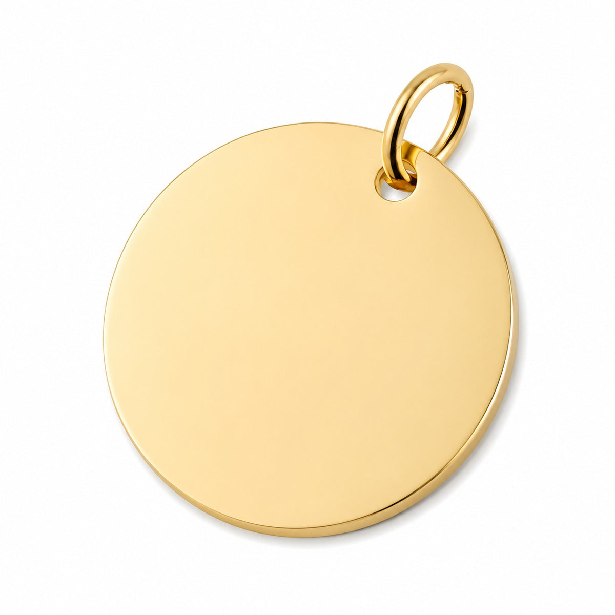 Gouden ronde hanger van De laatste aai voor een gedenksieraad, gemaakt van hoogwaardig RVS.