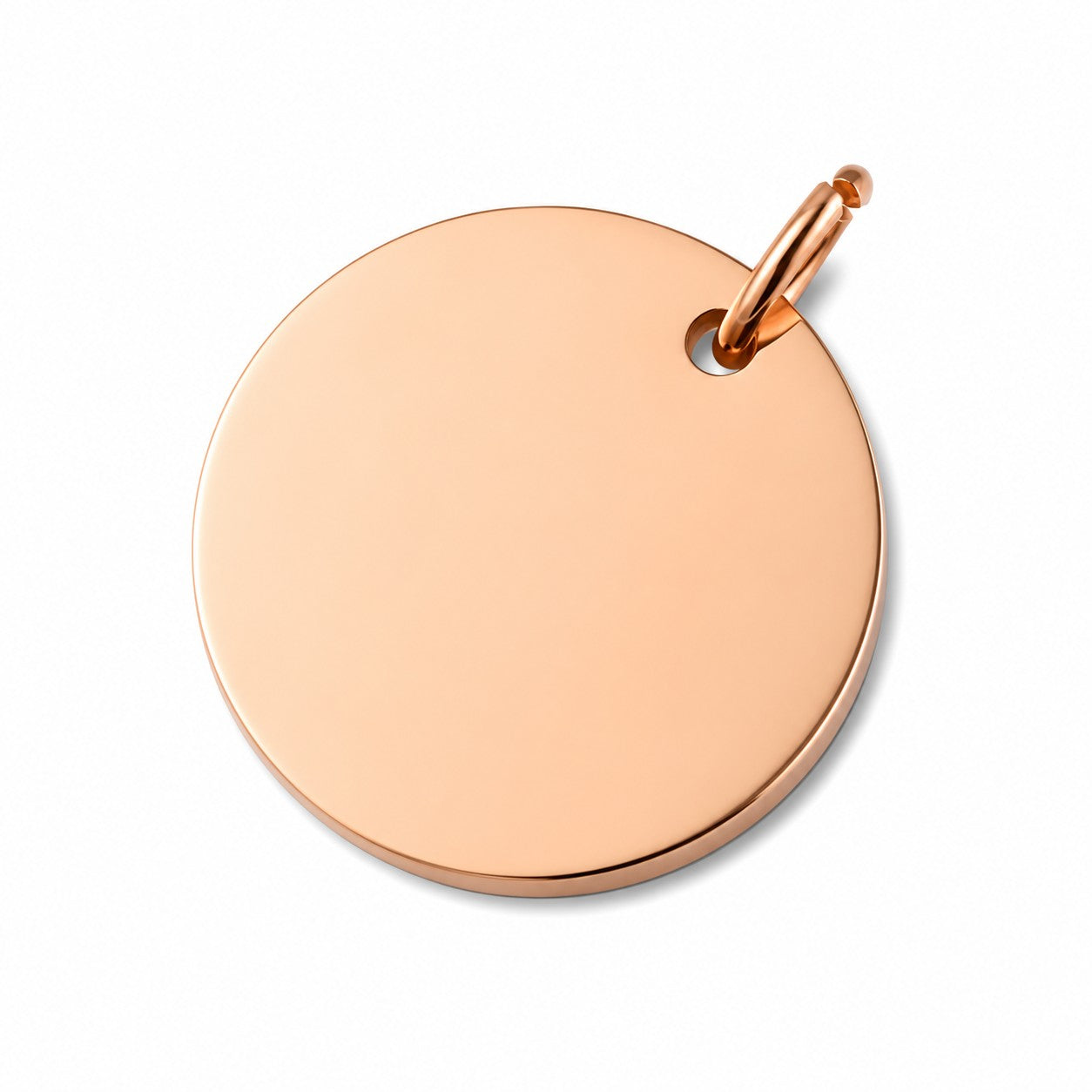 De laatste aai ronde hanger van roségoudkleurig RVS voor een persoonlijke fotogravure ter nagedachtenis aan huisdier