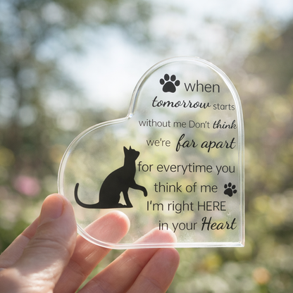 Herdenkingsbeeld - Kat - When tomorrow starts