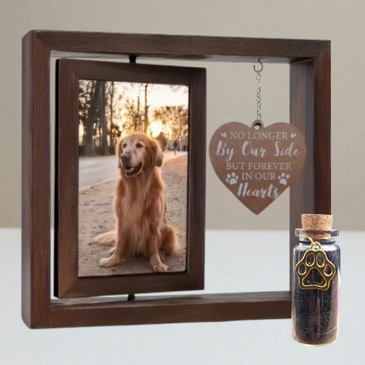 Memorial photo frame with ash tube