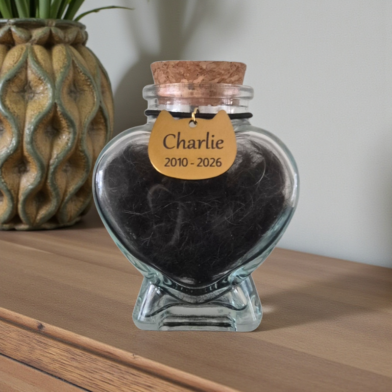 Memorial flesje - Kat – Gegraveerde hanger