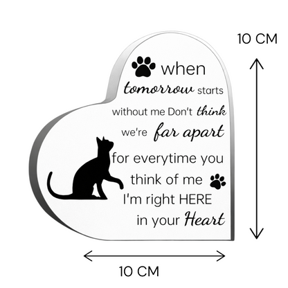 Herdenkingsbeeld - Kat - When tomorrow starts