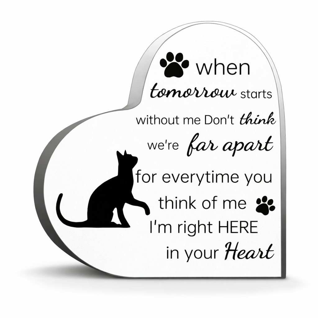 Herdenkingsbeeld - Kat - When tomorrow starts