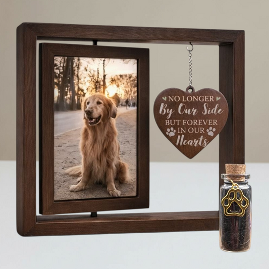 Memorial photo frame with ash tube