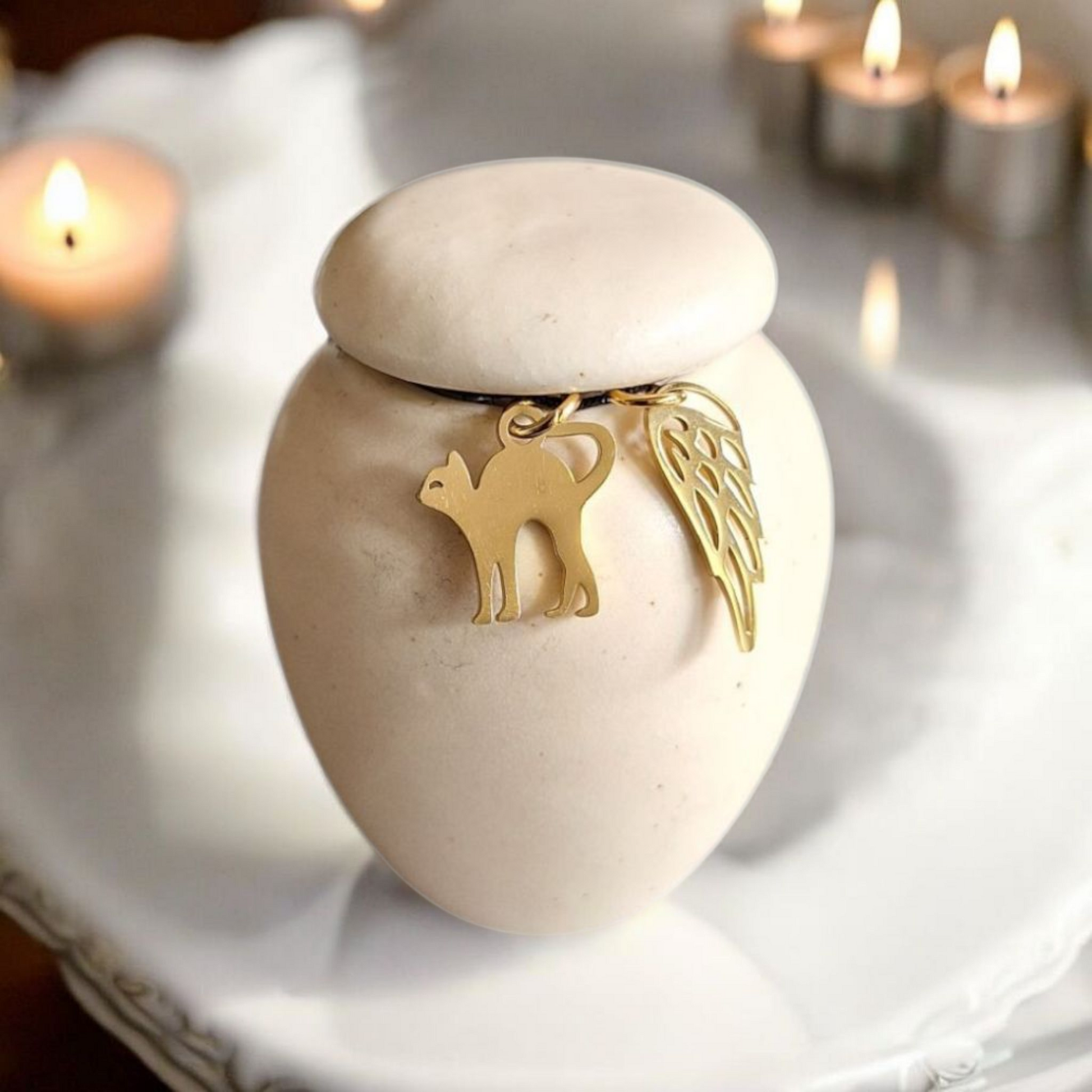 Mini urn met keepsake hangertjes voor Kat of Hond